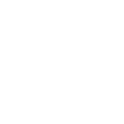 Backyard Customs - Pools & Construction