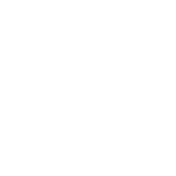 Backyard Customs - Pools & Construction